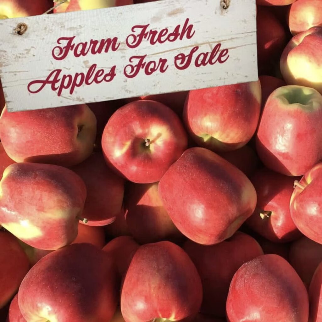 Red apples for sale