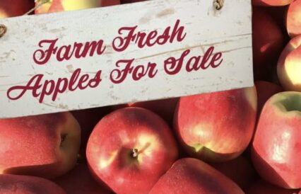 Red apples for sale